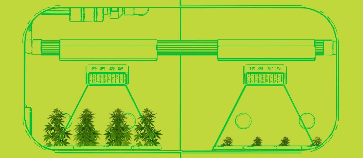 How To Build A Grow Room For Cannabis Plants? (Part 2) GrowDiaries