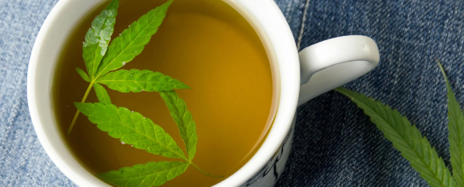 How To Make Cannabis Tea GrowDiaries