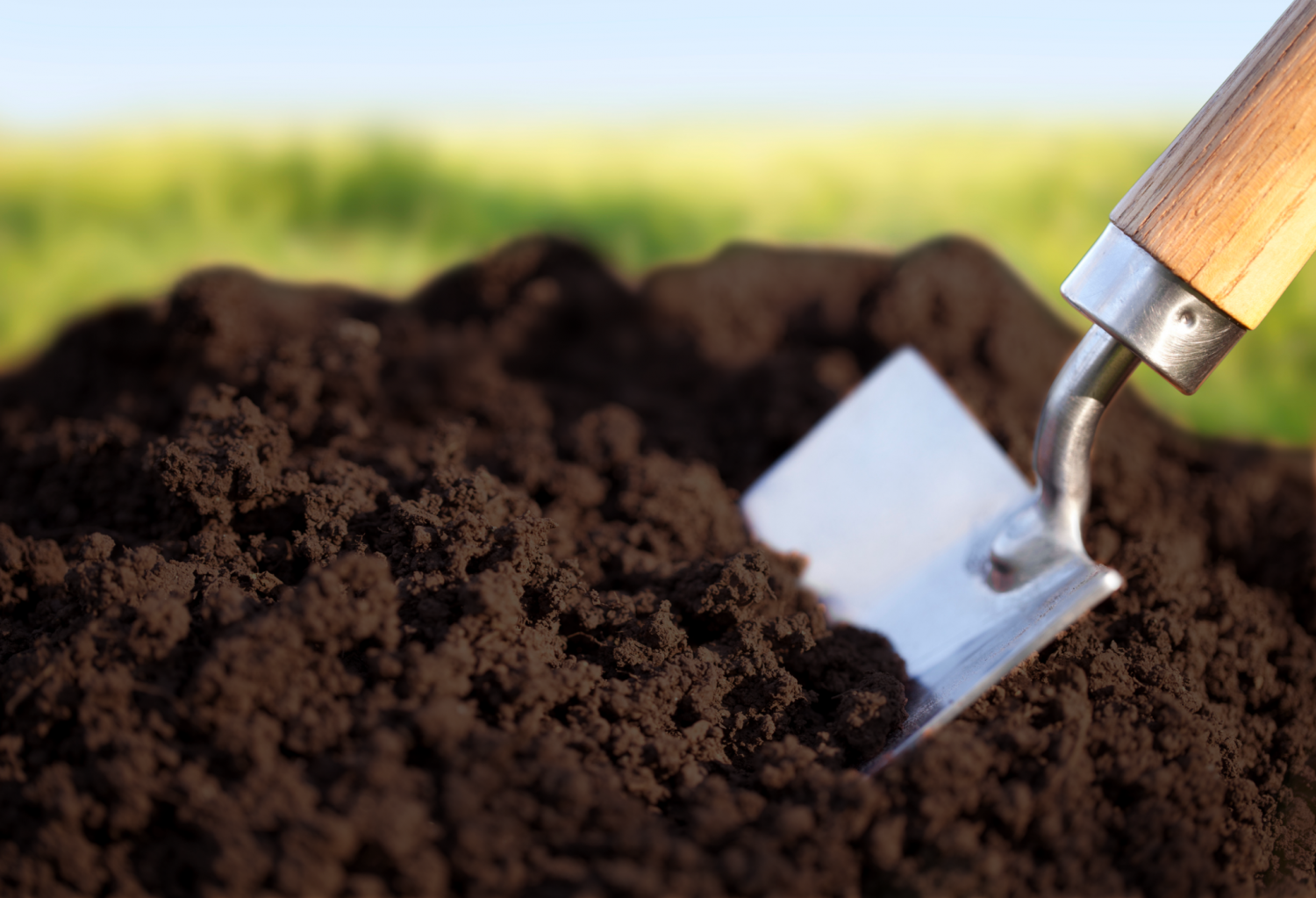 Can You Use Manure To Grow Cannabis? GrowDiaries