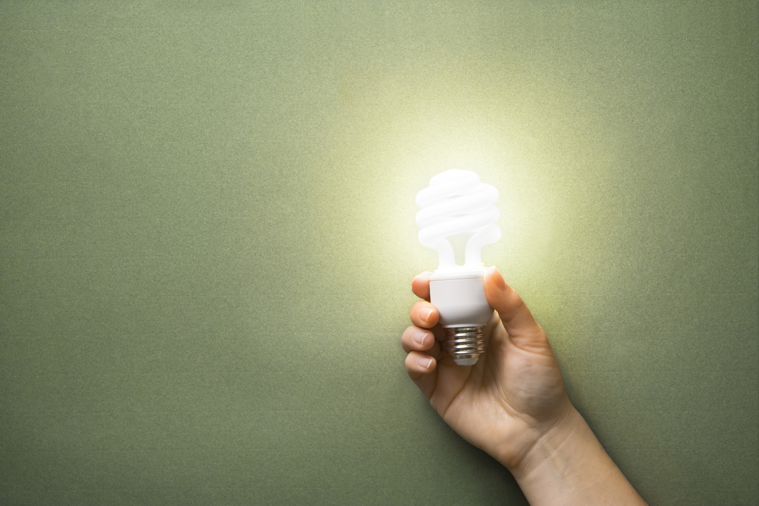 How To Grow Cannabis Plants With CFL Bulbs? GrowDiaries