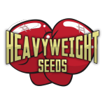 Heavyweight Seeds