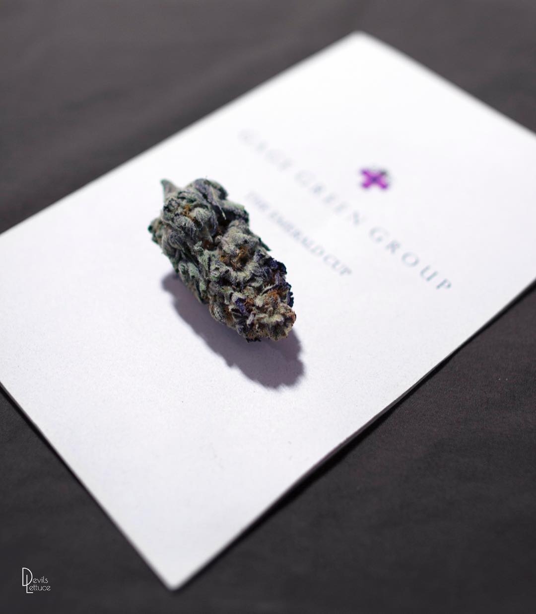 Gage Green breeder. Seed bank info GrowDiaries