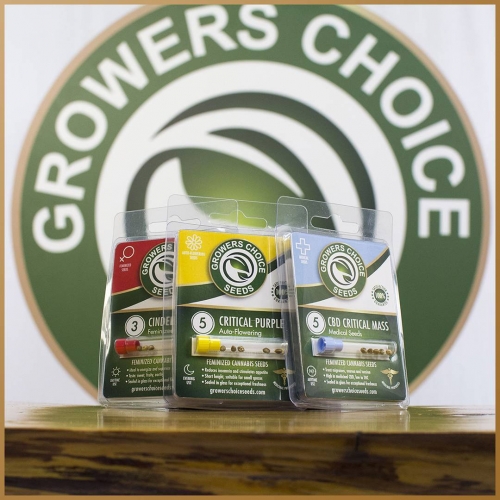Growers Choice Seeds breeder. Seed bank info GrowDiaries