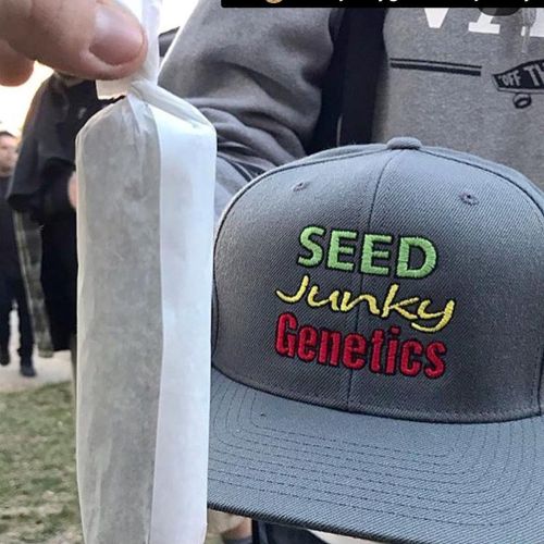 Seed Junky breeder. Seed bank info GrowDiaries