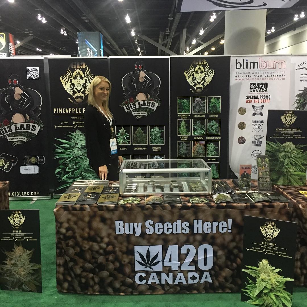 g13-labs-breeder-seed-bank-info-growdiaries