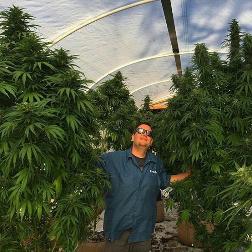 growdiaries