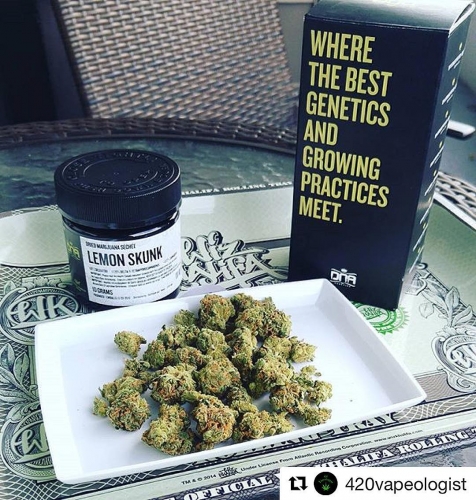 growdiaries