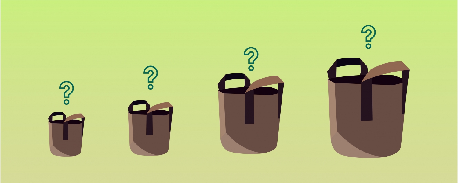 Blog category growguide GrowDiaries p8