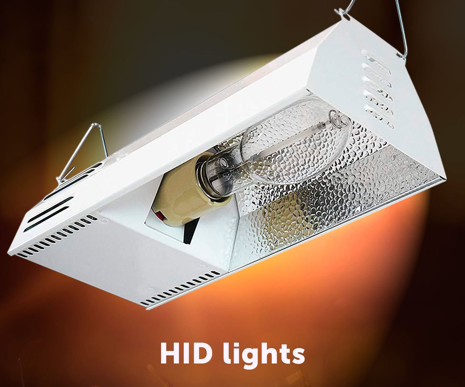 HID Lighting To Grow Indoor Cannabis Plants — A Complete Guide