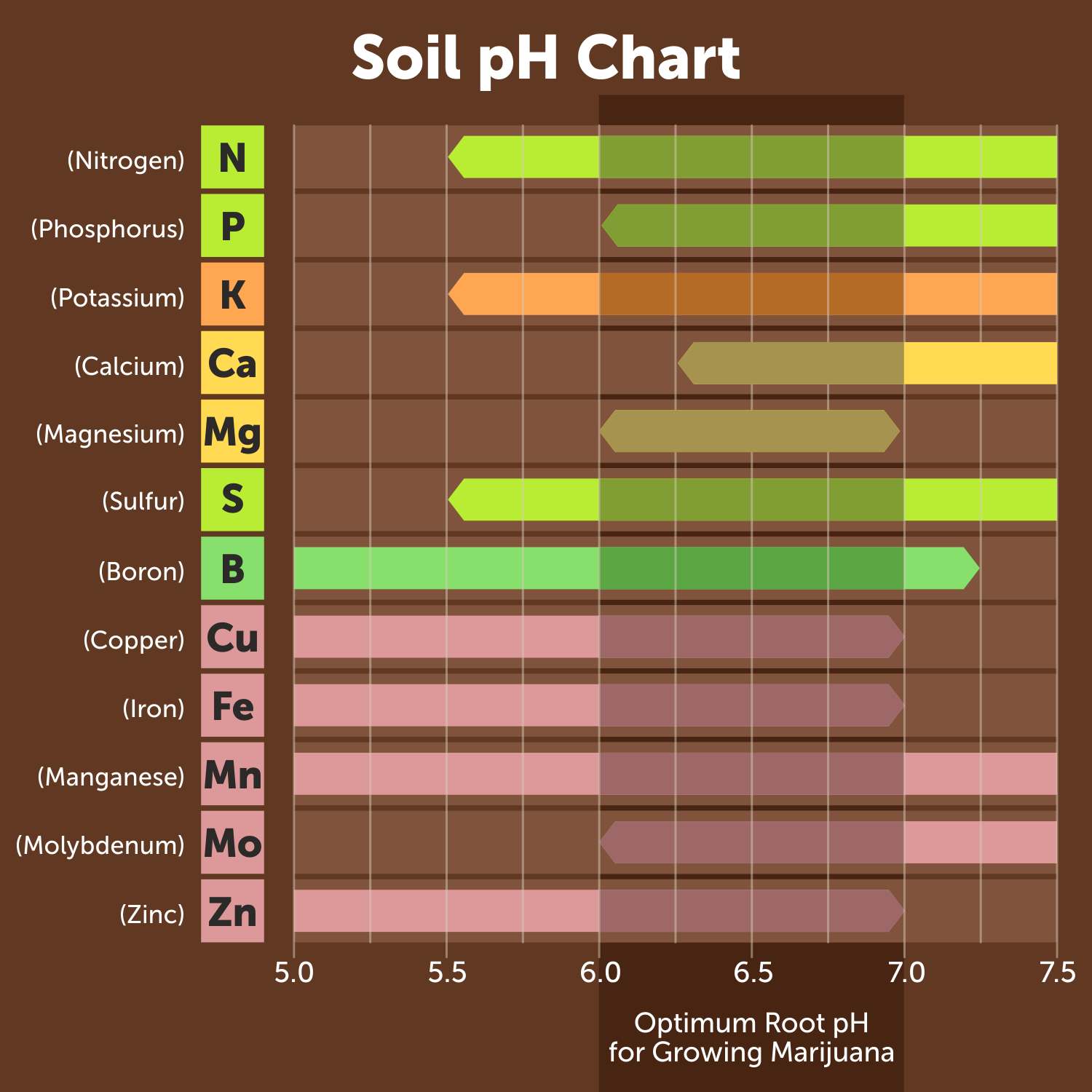 The Art Of Adjusting PH Levels To Grow Big Fat Cannabis Buds GrowDiaries