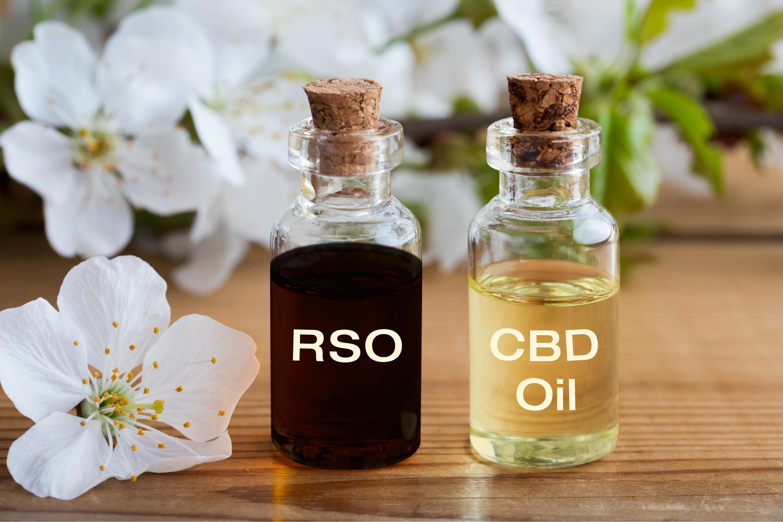 How To Make Rick Simpson Oil At Home Growdiaries