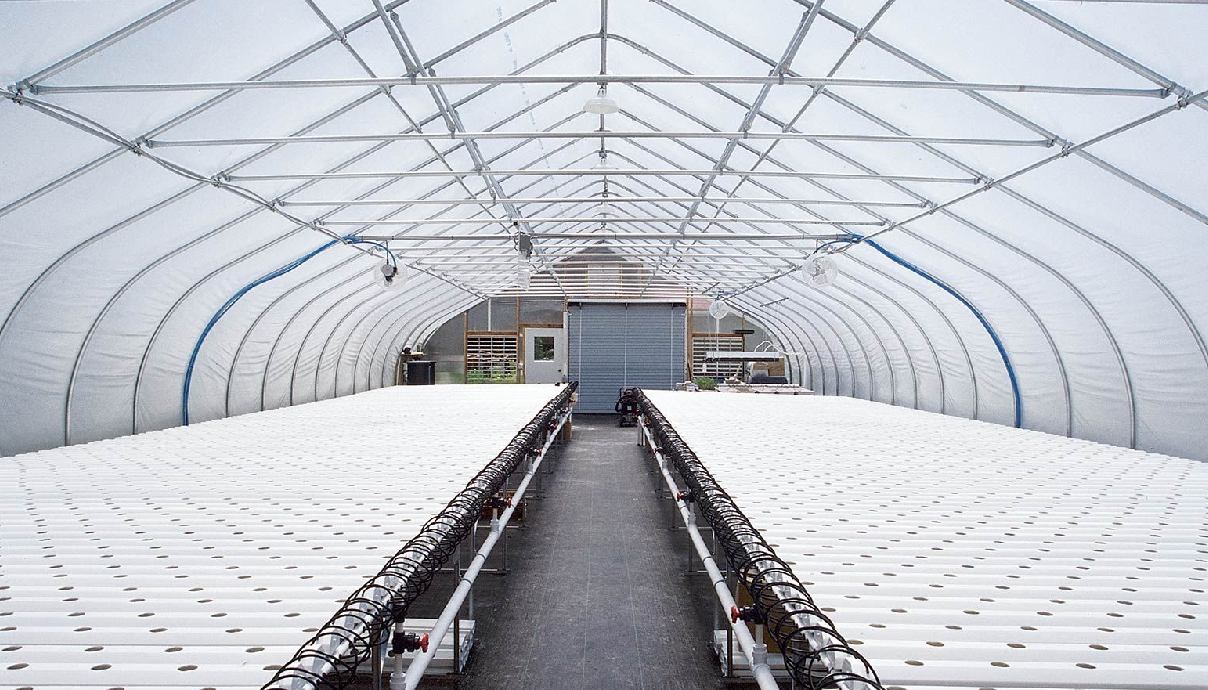 Полиэтиленовая крышка на коммерческой теплице