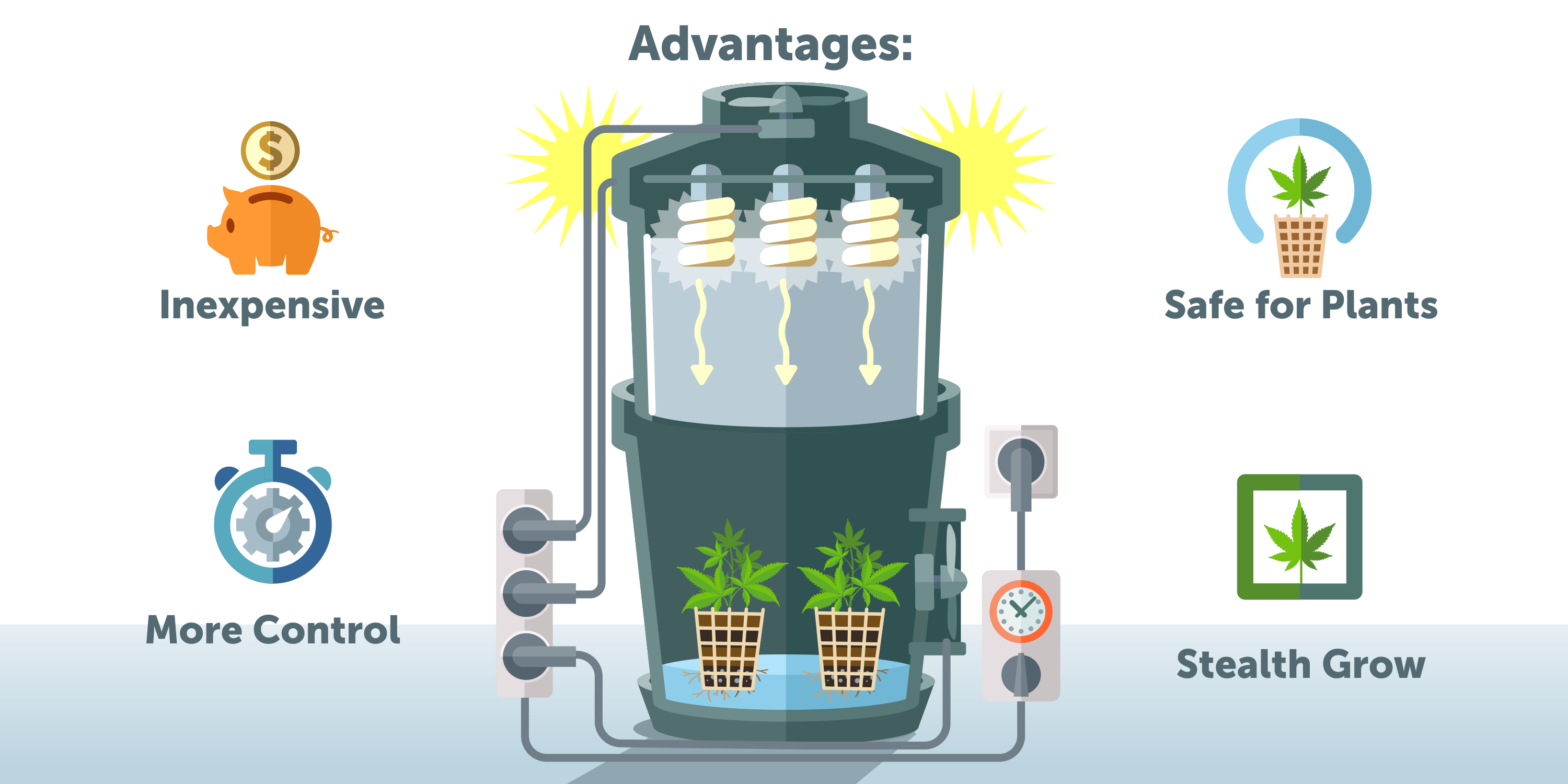 How To Grow Cannabis With Space Buckets? GrowDiaries