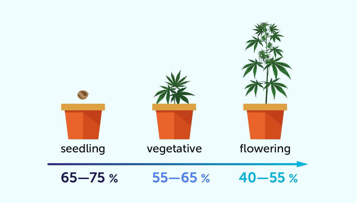 5-top-tips-on-humidity-when-growing-cannabis-growdiaries