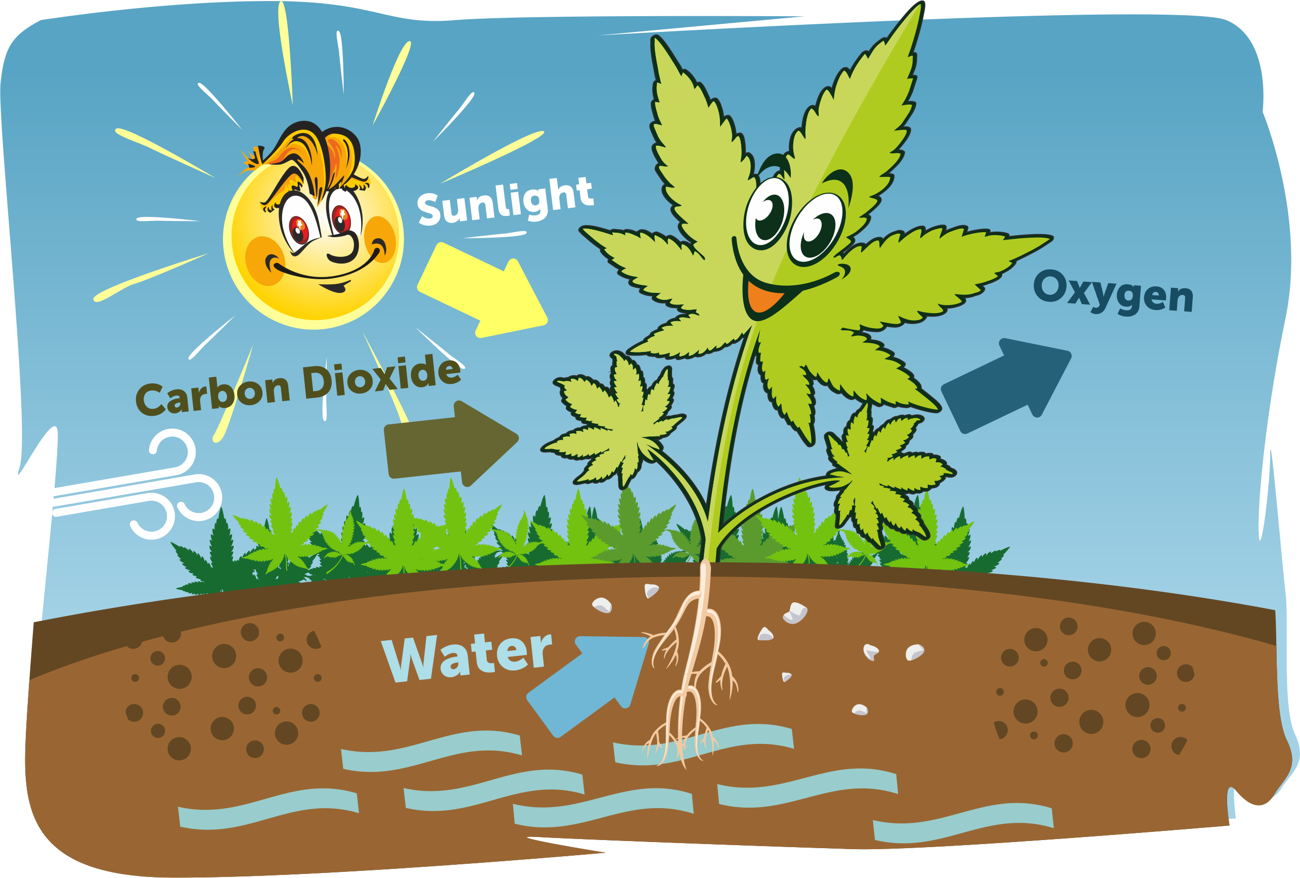 How To Increase Oxygen For Healthy Cannabis Plants? GrowDiaries
