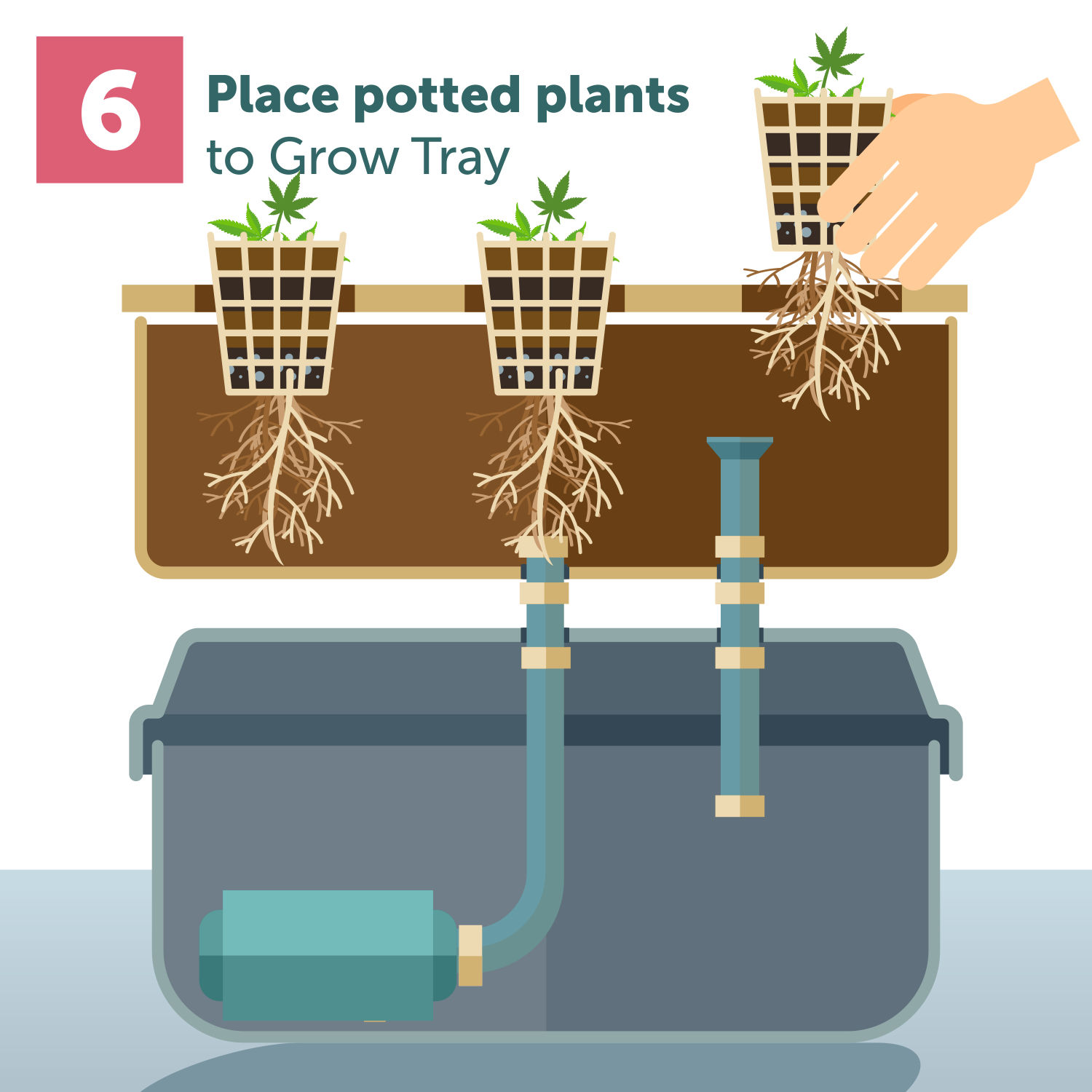 The Ebb And Flow Guide — How To Set It Up At Home To Grow Cannabis? GrowDiaries