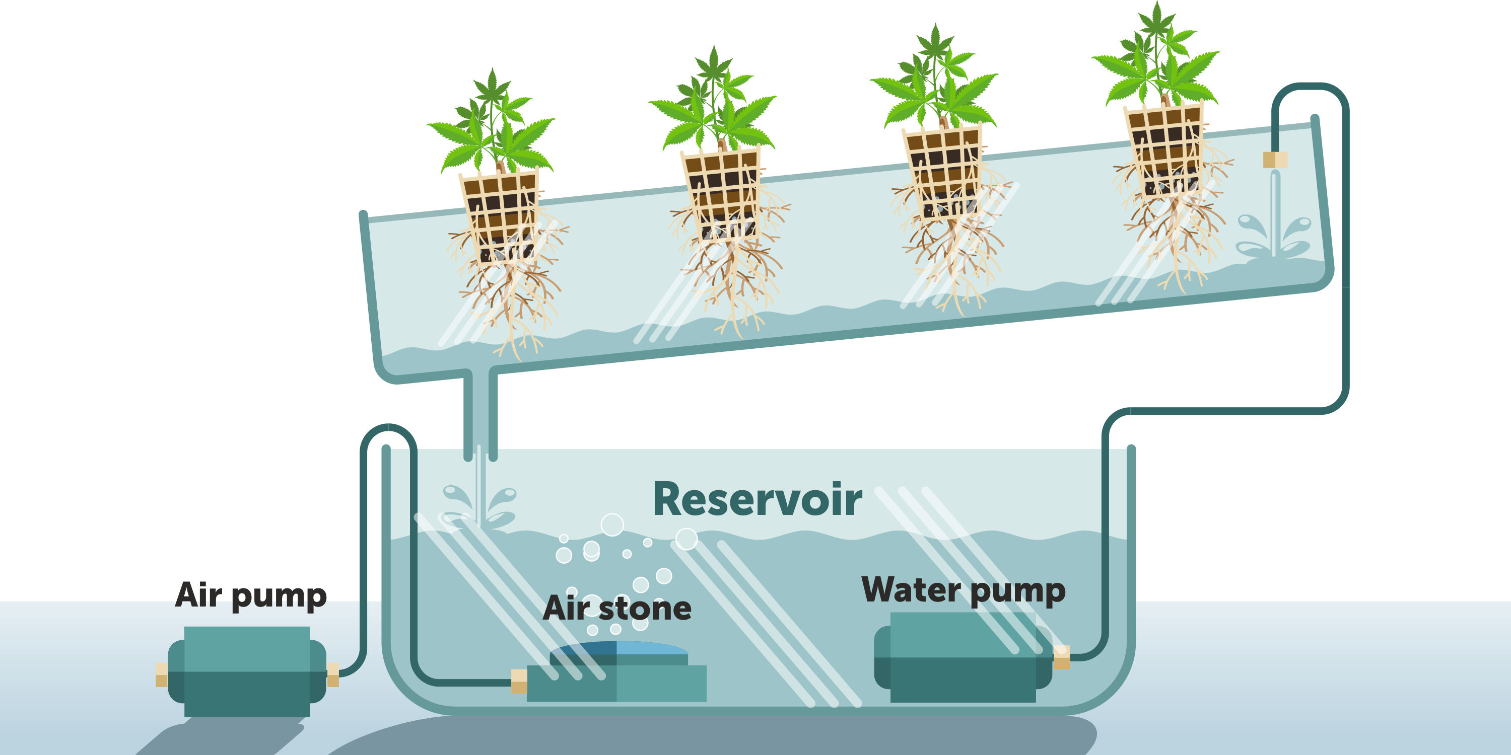 How To Grow Cannabis Using The NFT (Nutrient Film Technique)? GrowDiaries
