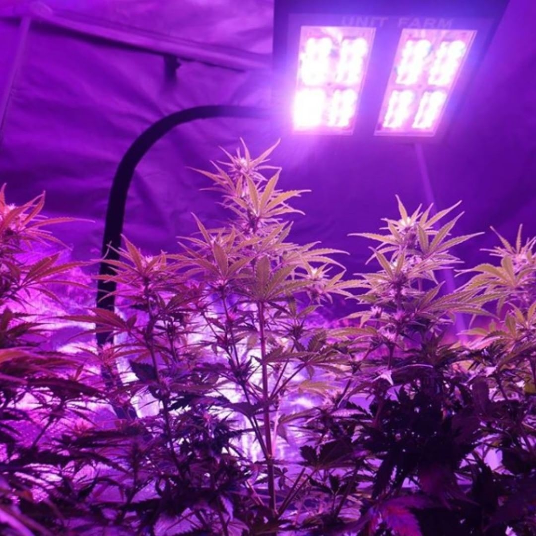 Unit Farm lamps manufacturer. Cannabis lighting brand information ...