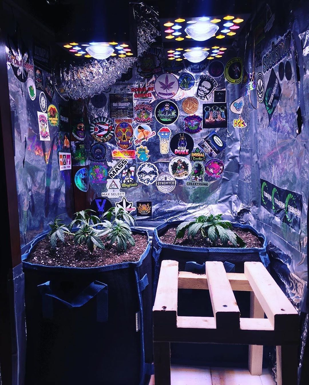 Sunraise lamps manufacturer. Cannabis lighting brand information GrowDiaries