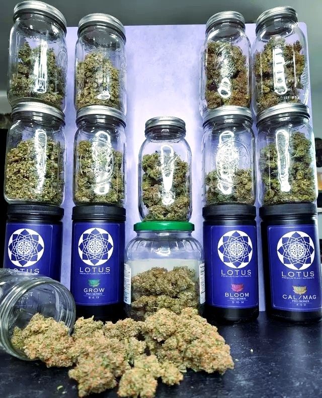 Lotus Nutrients nutrient producer info GrowDiaries