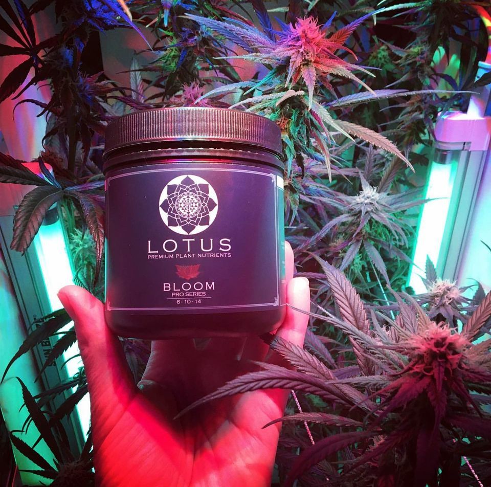 Lotus Nutrients nutrient producer info GrowDiaries