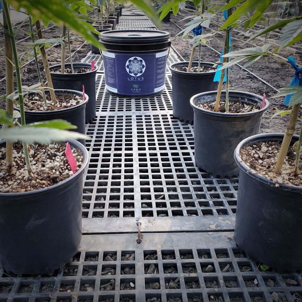 Lotus Nutrients nutrient producer info GrowDiaries