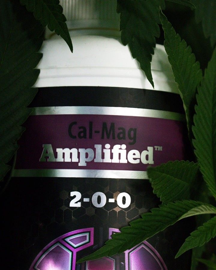 Cutting Edge Solutions nutrient producer info GrowDiaries