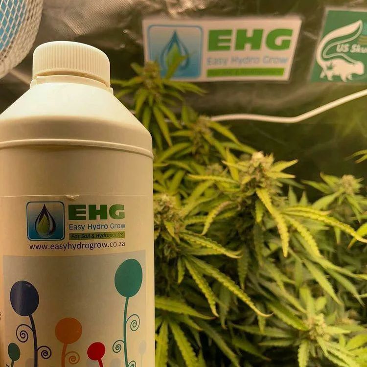 EHG Easy Hydro Grow nutrient producer info GrowDiaries