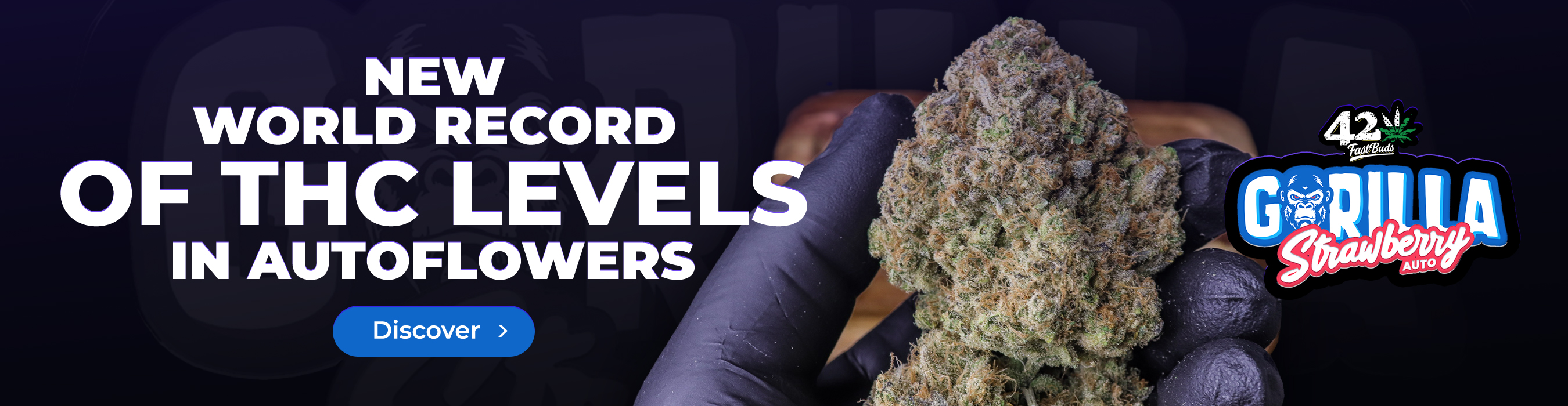 How To ScrOG Cannabis — A Complete Guide - GrowDiaries