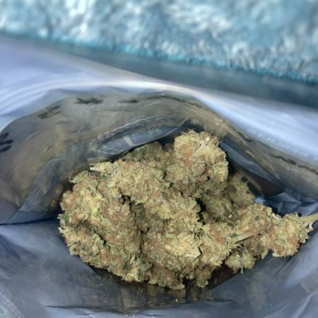 Banana Hammock R1 Strain Info Banana Hammock R1 Weed By ETHOS   143ee2cbb8e85748a0c554d0c6454229 450 