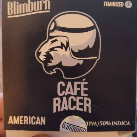 Cafe Racer Strain Info / Cafe Racer Weed By Blimburn Seeds - GrowDiaries