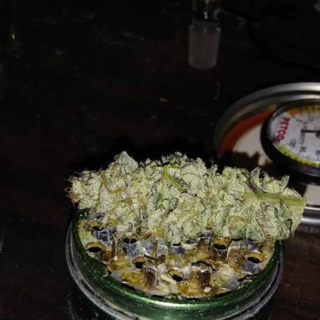 Ice Cream Cake 2 Grow Journal Harvest18 By Growdiaries