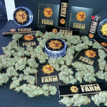 CBD Lemon Potion 6 Liter Air-pot