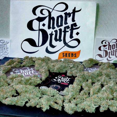 Himalaya Orange Diesel