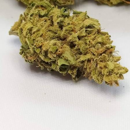 Zkittlez auto авто