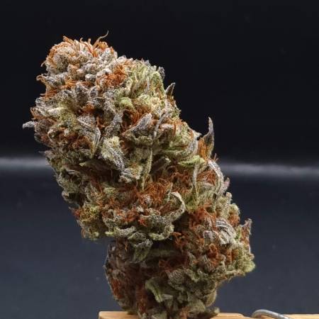 Hella Jelly Strain Info / Hella Jelly Weed By Humboldt Seed Company ...