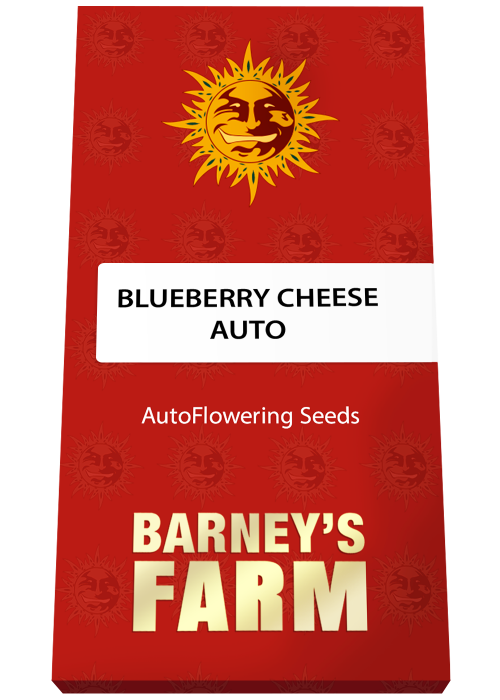 Barney's Farm Blue Cheese Auto 2 grow journal 2 by Easygrow420