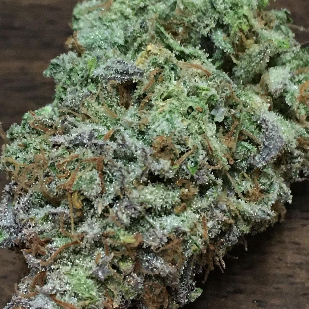 Lemon OG Strain Info / Lemon OG Weed By Twisted Tree Autoflowers