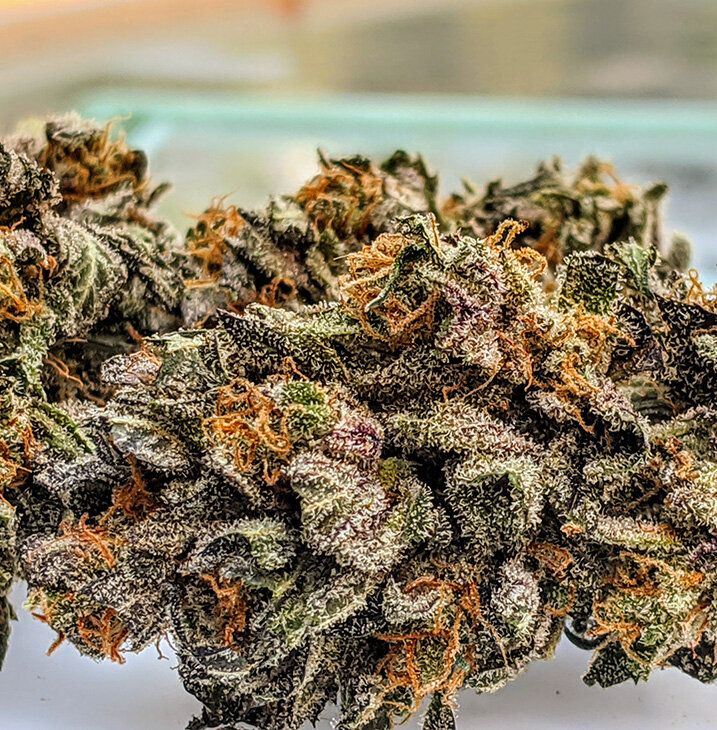 Avenue Of The Giants Strain Info / Avenue Of The Giants Weed By