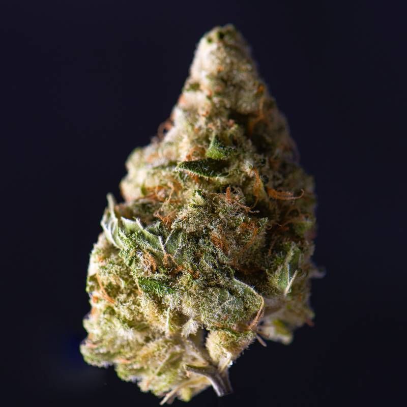 Cookies and Cream Strain Info / Cookies and Cream Weed By Canuk Seeds