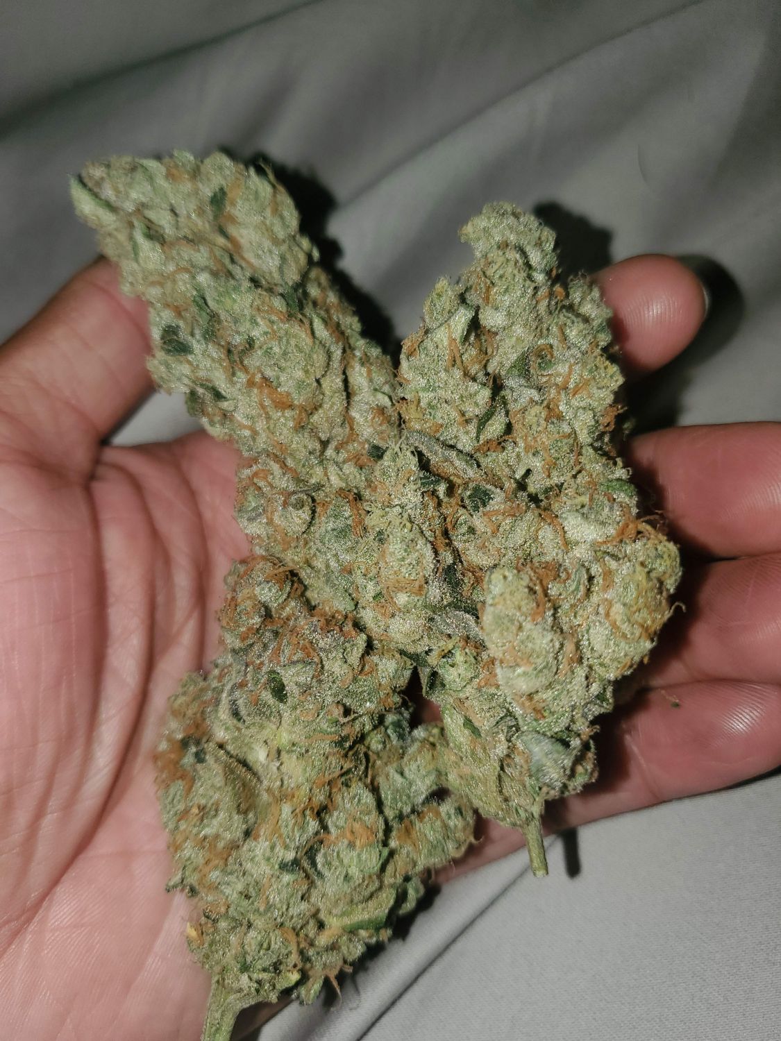 Cherries Jubilee Strain Info / Cherries Jubilee Weed By The Cali Connection GrowDiaries