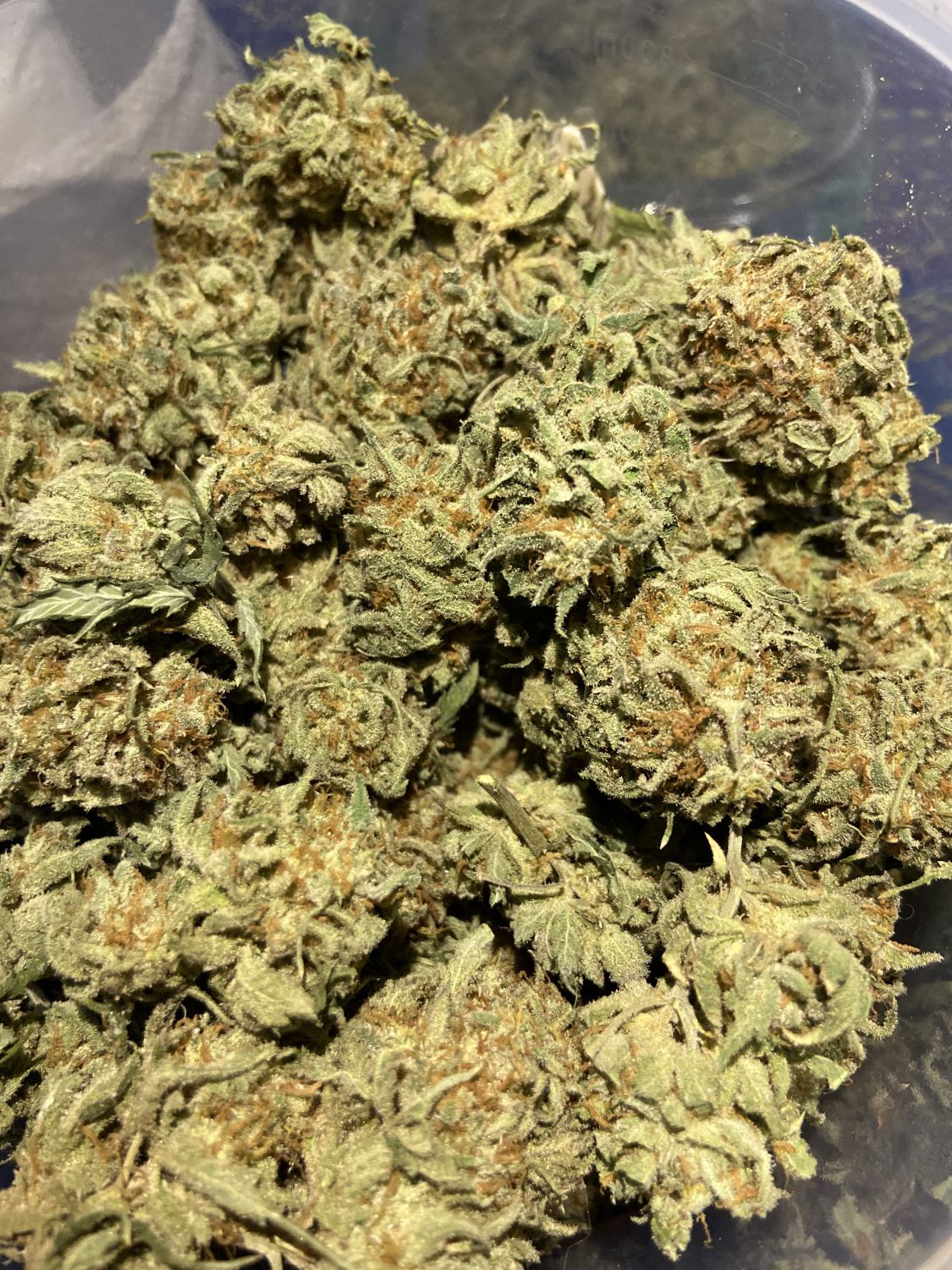 Jelly Pancakes Strain Info / Jelly Pancakes Weed By In House