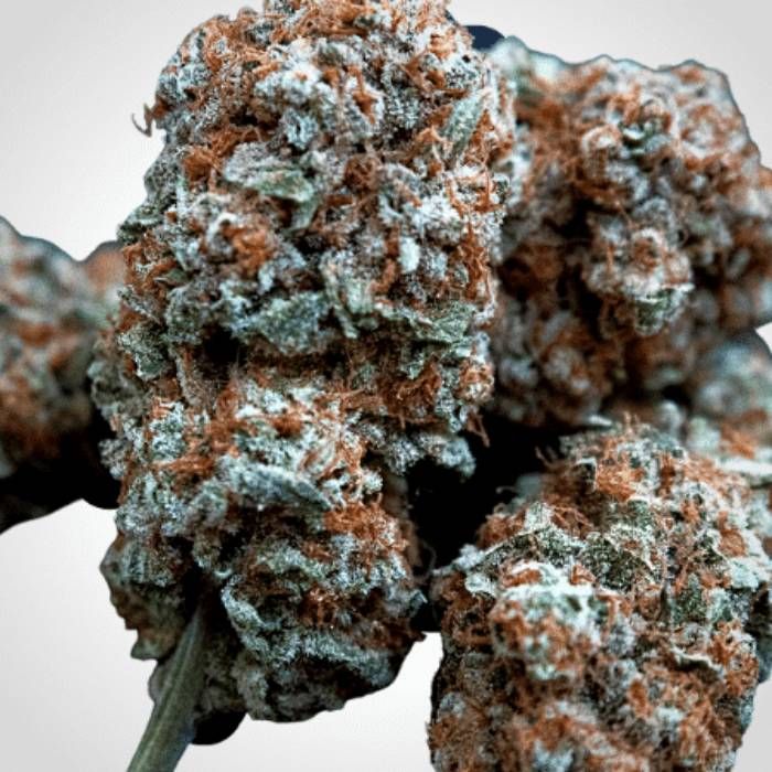 Peanut Butter Breath Strain Info / Peanut Butter Breath Weed By Expert