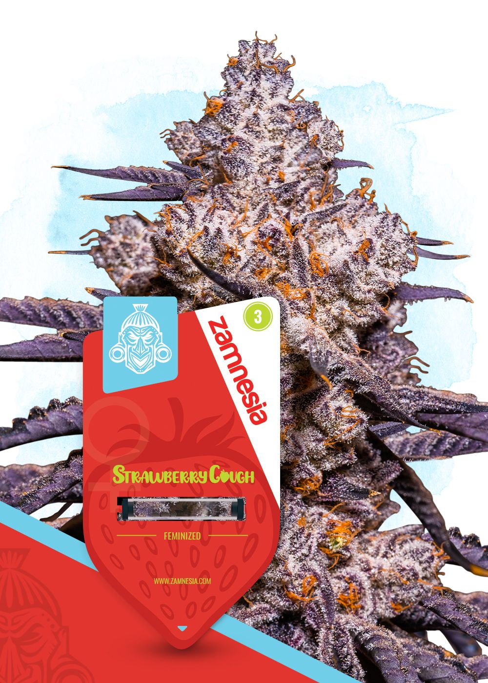 Strawberry Cough Strain Info / Strawberry Cough Weed By Zamnesia Seeds