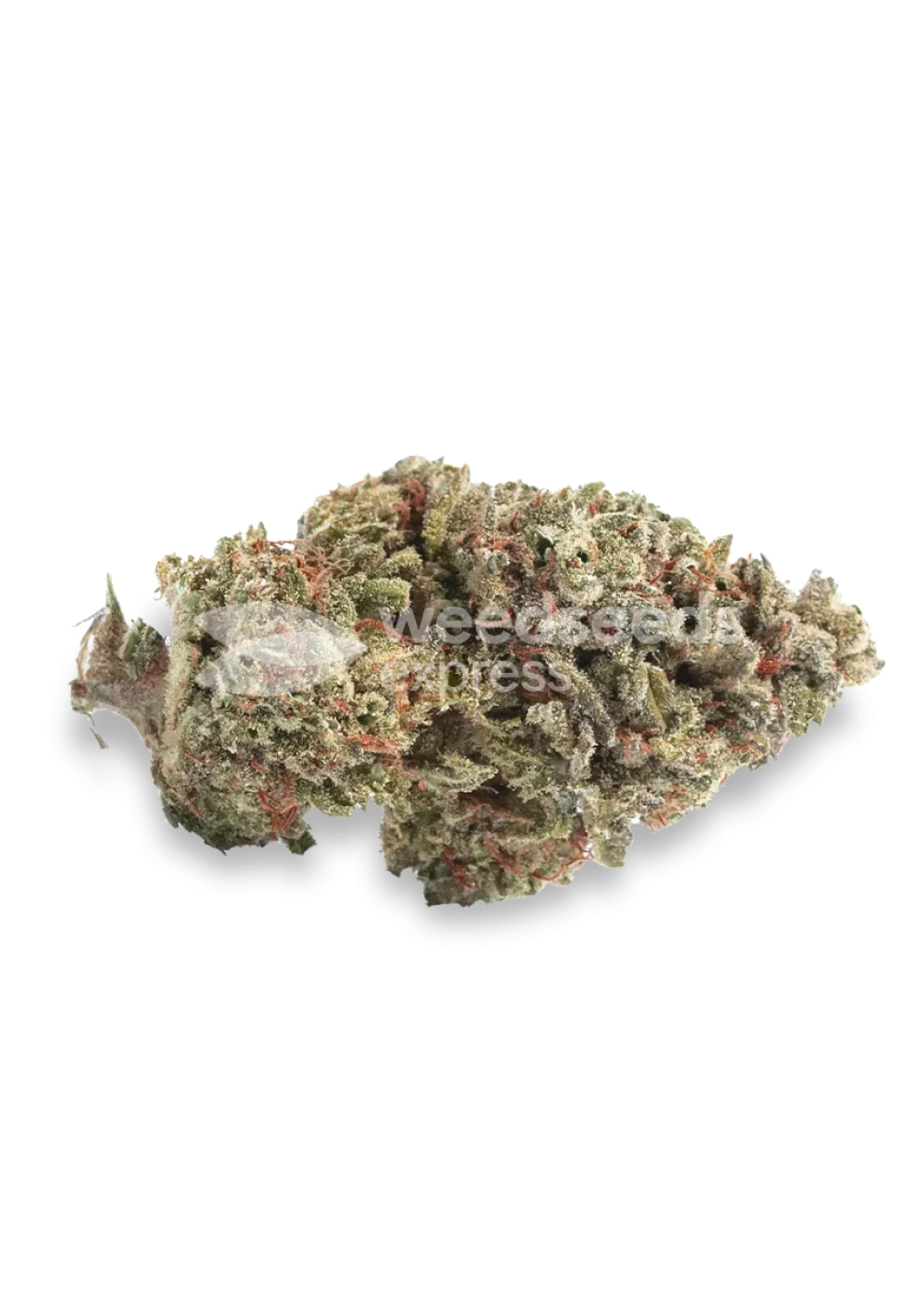 Peanut Butter Breath feminized seeds Strain Info / Peanut Butter Breath