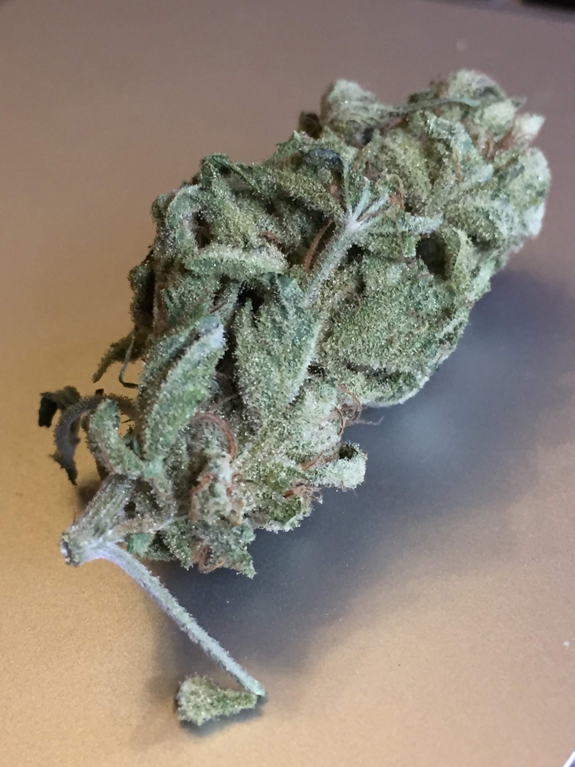 royal-highness-strain-info-royal-highness-weed-by-royal-queen-seeds