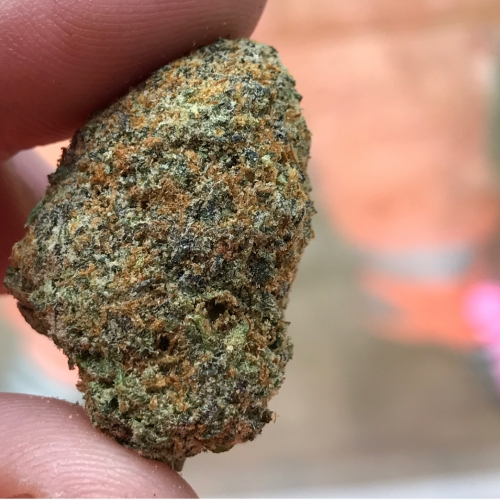 Gelato 33 Strain Info / Gelato 33 Weed By Cookies Seed Bank GrowDiaries