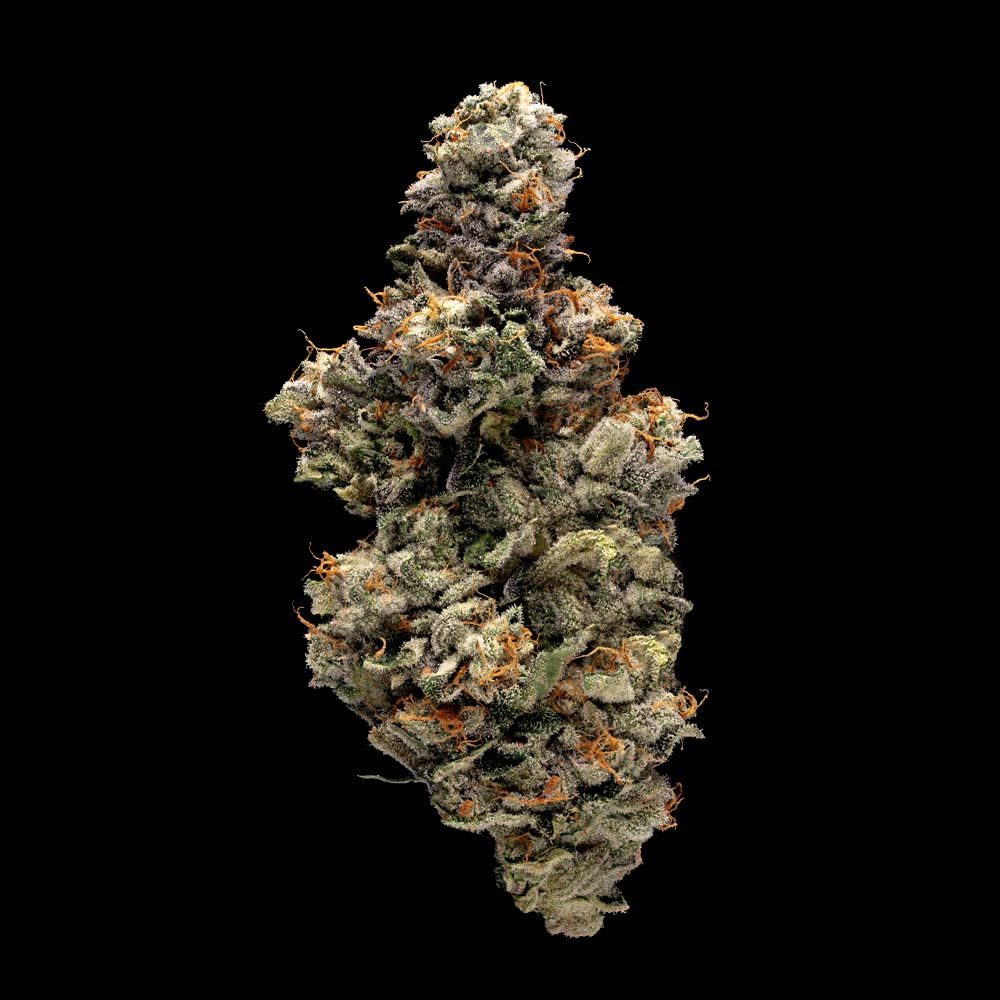 Bakers Delight Strain Info / Bakers Delight Weed By DNA