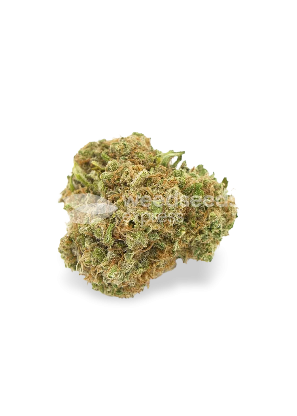 Blue Cheese autoflower seeds Strain Info / Blue Cheese autoflower seeds