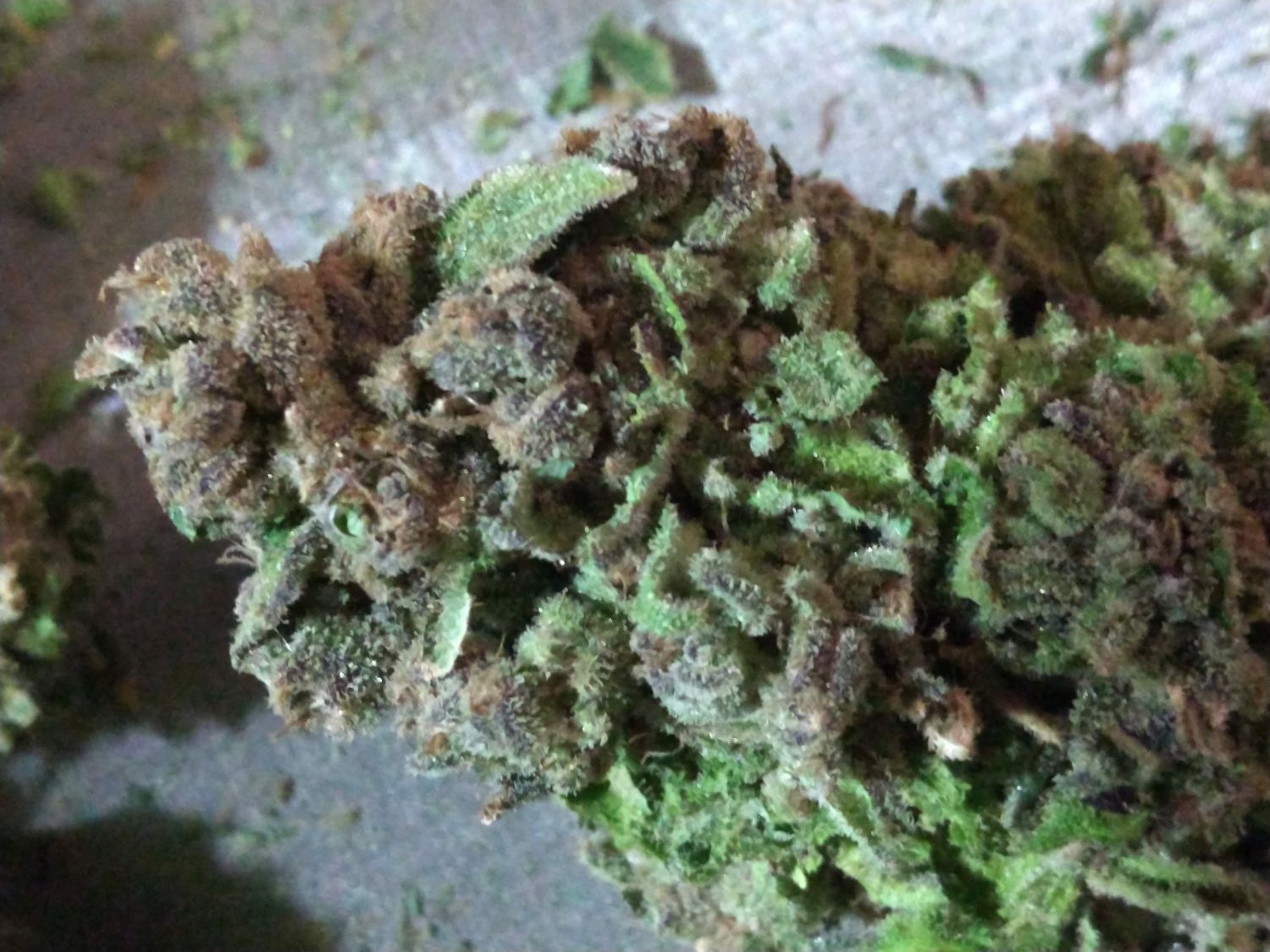Purple Strawberry Bliss Strain Info / Purple Strawberry Bliss Weed By